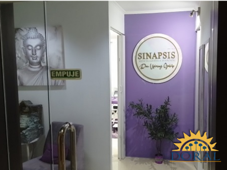 SinapsisCarrusel2